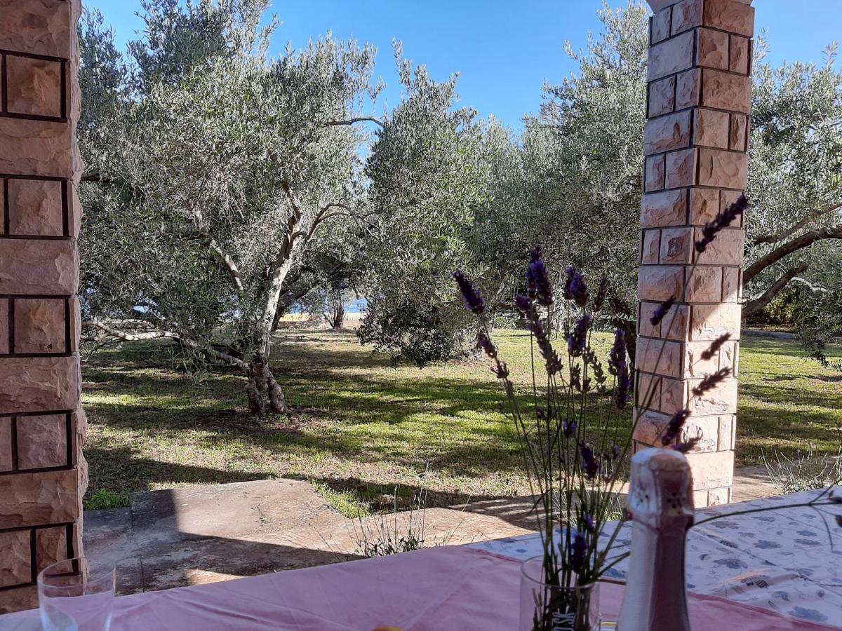 דירות אוגייאן Family House Rebeka מראה חיצוני תמונה