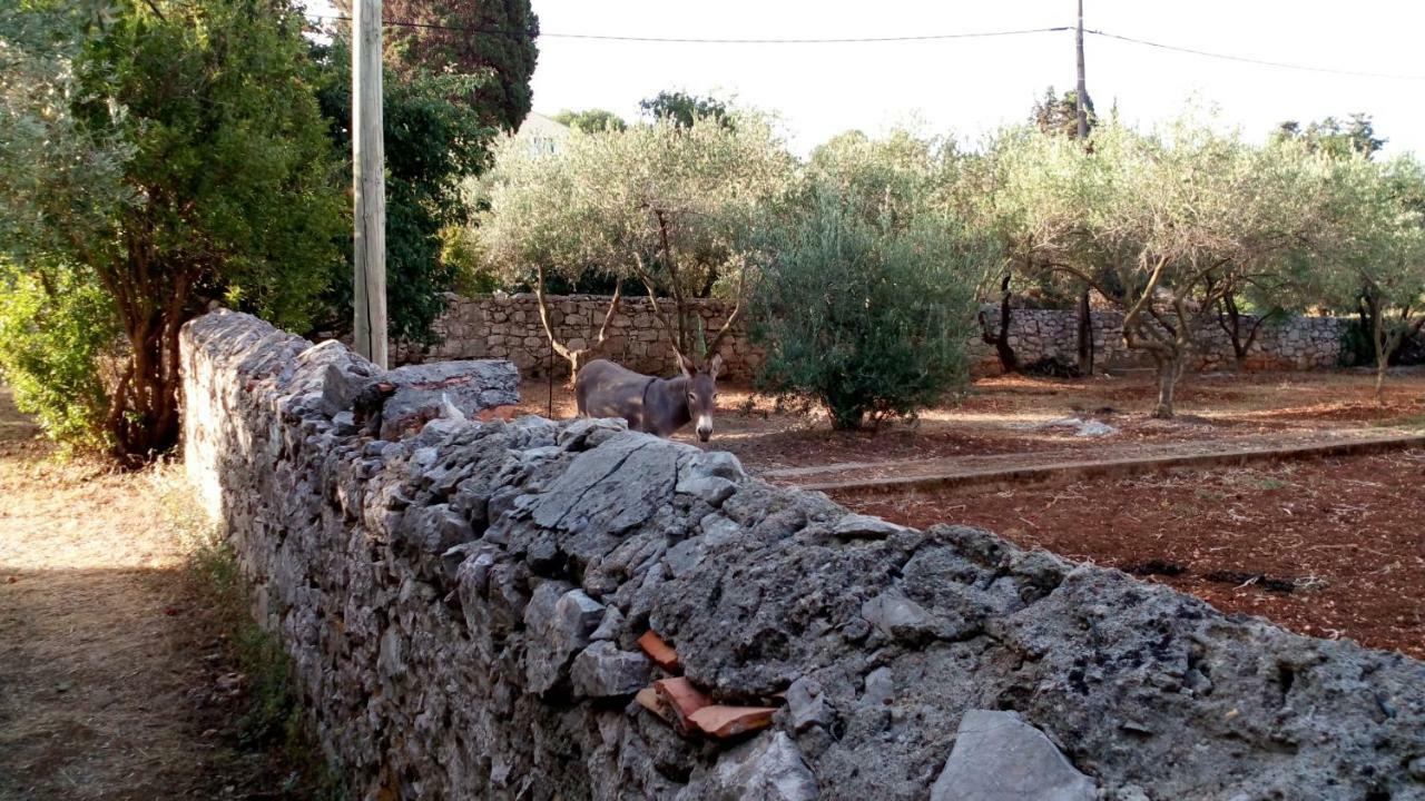 דירות אוגייאן Family House Rebeka מראה חיצוני תמונה